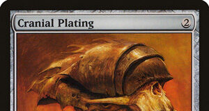 Cranial Plating