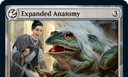 Expanded Anatomy