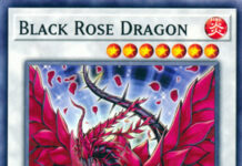 Black Rose Dragon