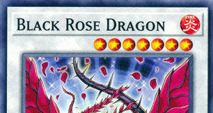 Black Rose Dragon