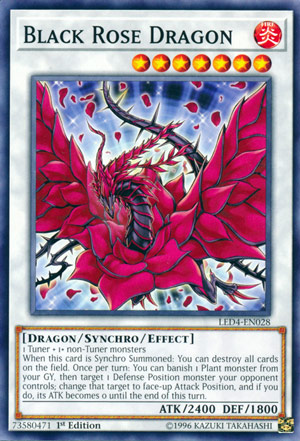 Black Rose Dragon