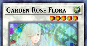 Garden Rose Flora