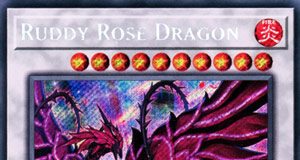 Ruddy Rose Dragon