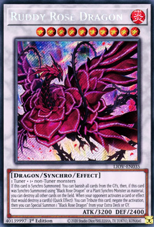 Ruddy Rose Dragon 