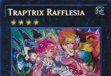 Traptrix Rafflesia