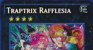 Traptrix Rafflesia