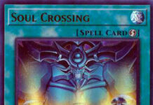 Soul Crossing