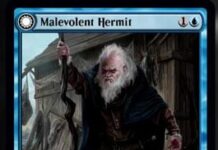 Malevolent Hermit / Benevolent Geist
