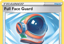 Full Face Guard