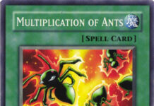 Multiplication of Ants