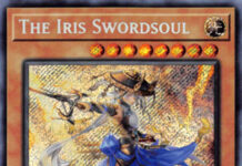 The Iris Swordsoul