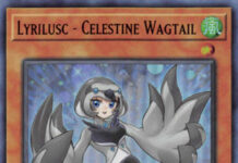 Lyrilusc - Celestine Wagtail