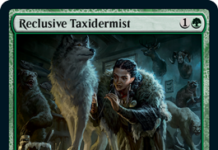 Reclusive Taxidermist