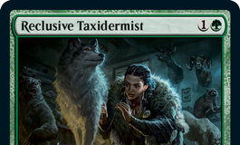 Reclusive Taxidermist