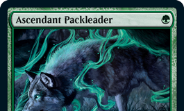Ascendant Packleader