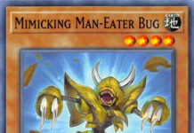 Mimicking Man-Eater Bug