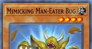 Mimicking Man-Eater Bug