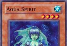 aqua-spirit-2003