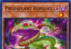Predaplant Bufolicula