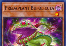 Predaplant Bufolicula