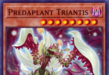 Predaplant Triantis
