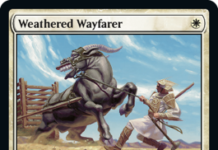 Weathered Wayfarer