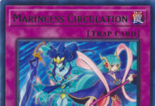 Marincess Circulation