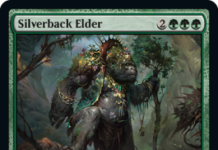 Silverback Elder