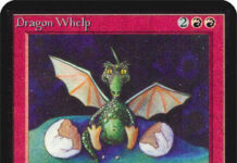 Dragon Whelp