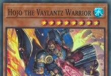Hojo the Vaylantz Warrior