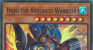 Hojo the Vaylantz Warrior
