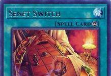 Senet Switch