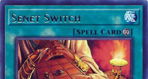 Senet Switch