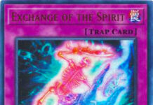 Exchange of the Spirit