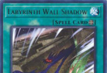 Labyrinth Wall Shadow