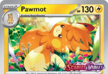 Pawmot SV_006