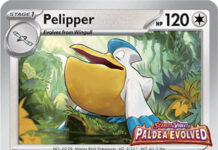 Pelipper