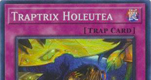 Traptrix Holeutea