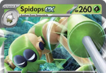 Spidops-ex