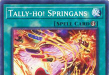 Tally-ho! Springans