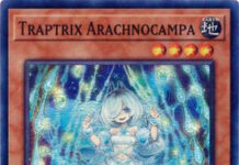 Traptrix Arachnocampa