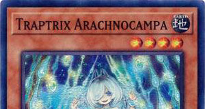 Traptrix Arachnocampa