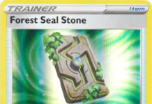 Forest Seal Stone