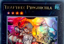 Traptrix Pinguicula