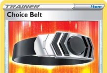 Choice Belt