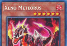 Xeno Meteorus