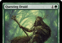 Questing Druid