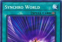 Synchro World