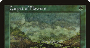 Carpet of Flowers