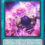 Realm Elegy – Yu-Gi-Oh! Card of the Day